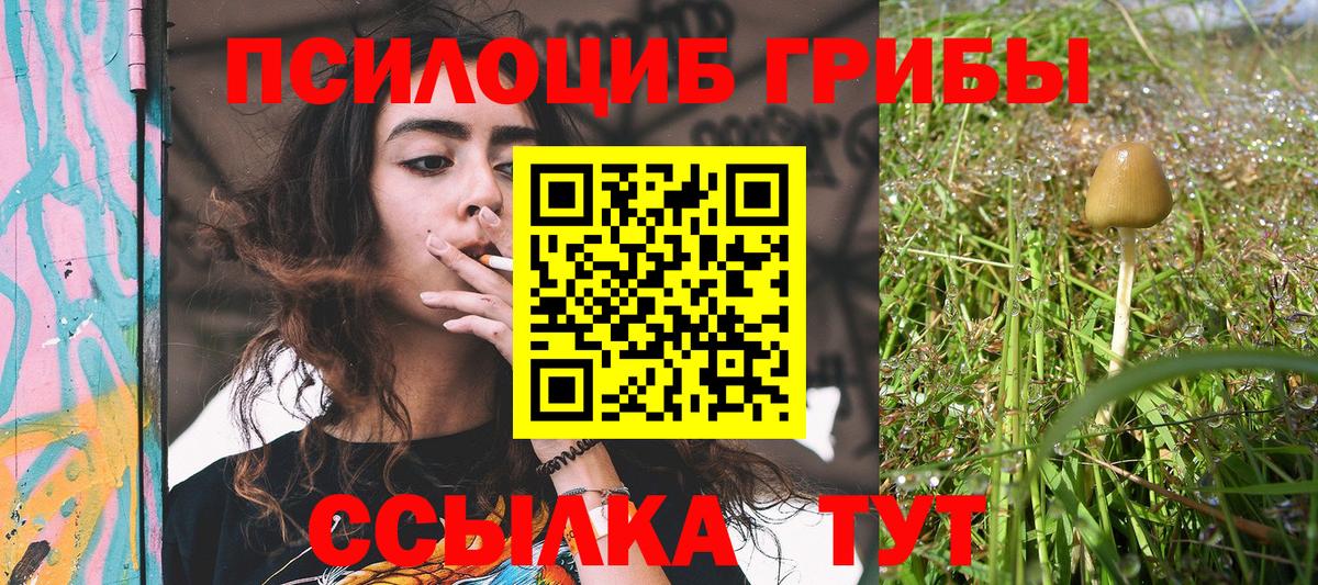 Галлюциногенные грибы ЛСД  купить   Сокол  Вход с VPN 